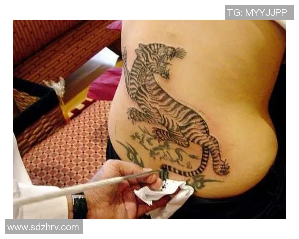 足球明星背部纹身老虎的故事与意义揭秘