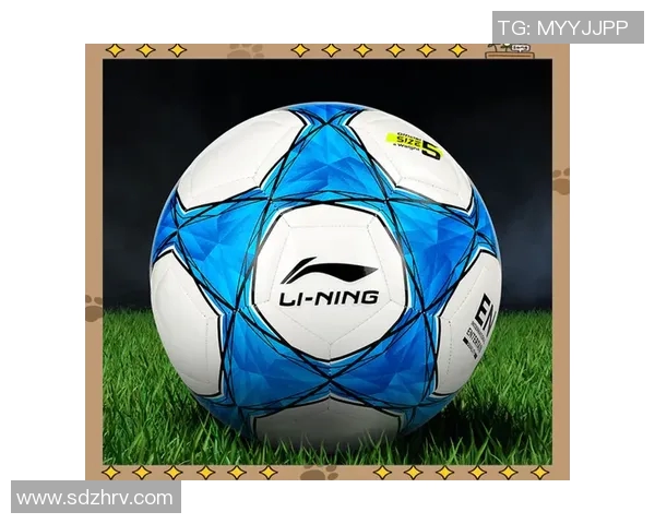 足球明星代言形象大揭秘顶级品牌合作背后的故事与魅力