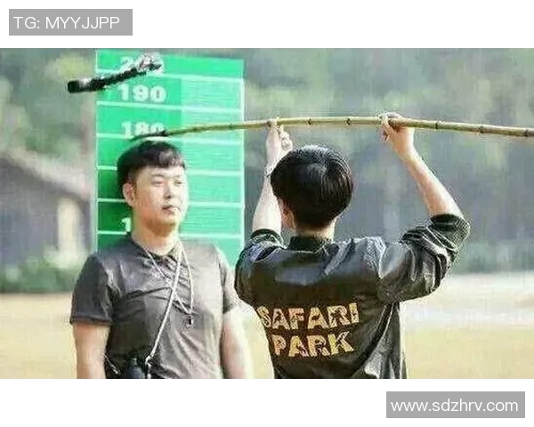 大邱与杨平比赛胜负分析及战术对比探讨